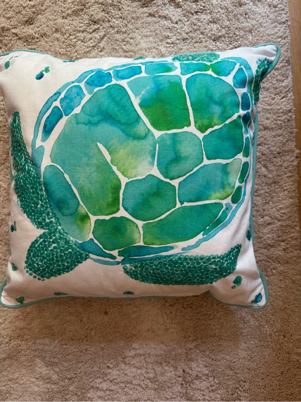 Pottery Barn teen pillow cover/insert